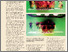 [thumbnail of BritArc211_Feature5-Colbert.pdf]